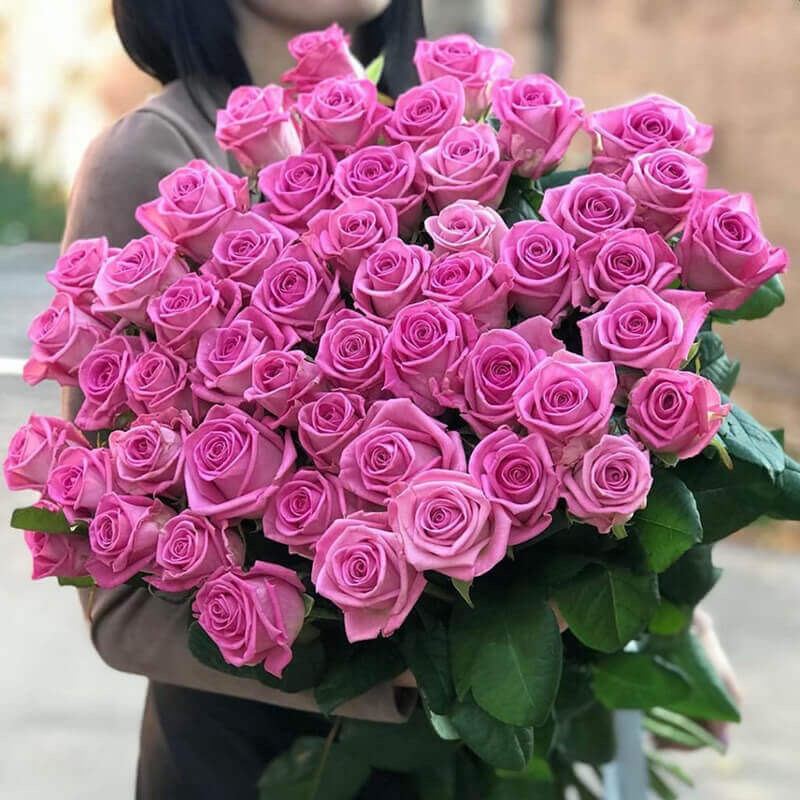 51 pink roses